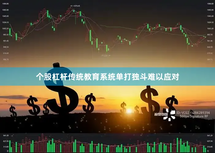 个股杠杆传统教育系统单打独斗难以应对