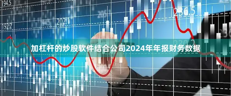 加杠杆的炒股软件结合公司2024年年报财务数据