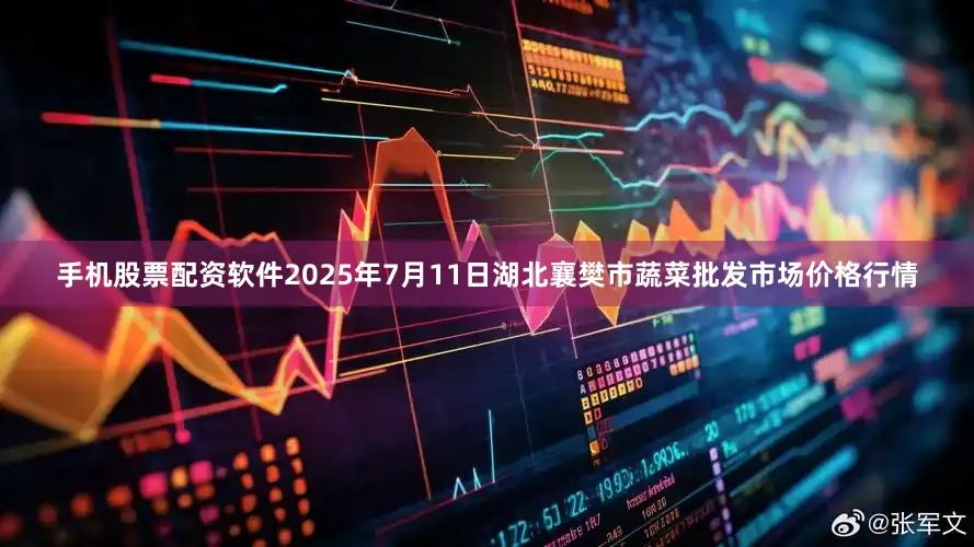 手机股票配资软件2025年7月11日湖北襄樊市蔬菜批发市场价格行情