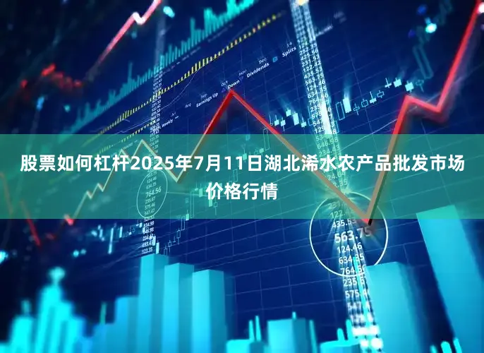 股票如何杠杆2025年7月11日湖北浠水农产品批发市场价格行情