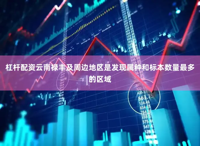 杠杆配资云南禄丰及周边地区是发现属种和标本数量最多的区域