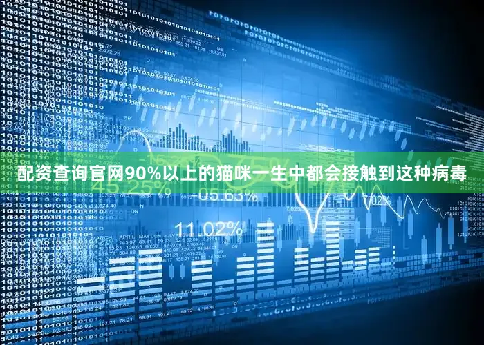 配资查询官网90%以上的猫咪一生中都会接触到这种病毒