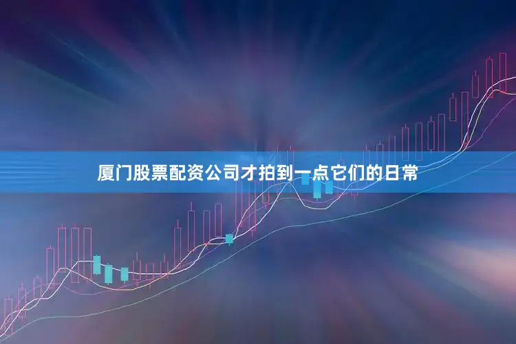 厦门股票配资公司才拍到一点它们的日常