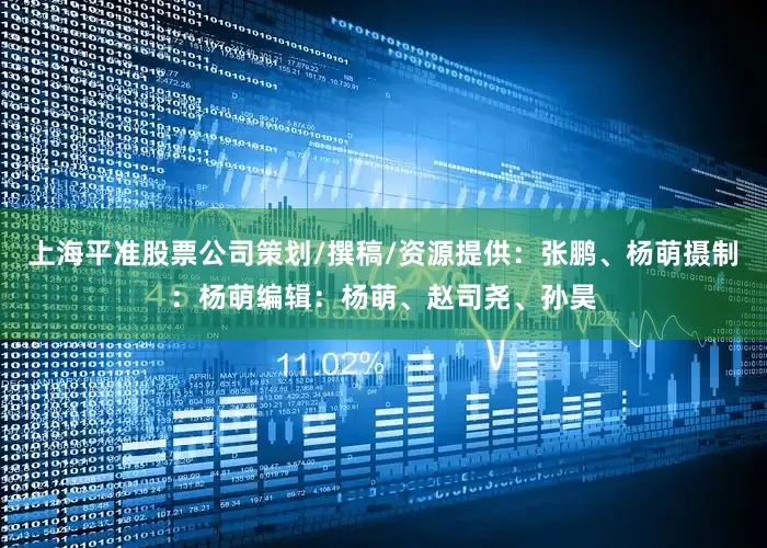 上海平准股票公司策划/撰稿/资源提供：张鹏、杨萌摄制：杨萌编辑：杨萌、赵司尧、孙昊