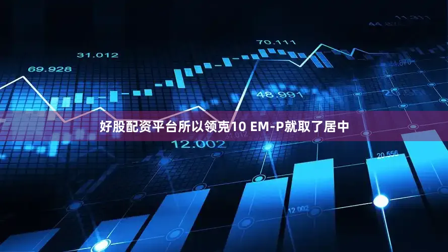 好股配资平台所以领克10 EM-P就取了居中
